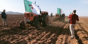 غليزان.. حملة الحرث والبذر تستهدف أزيد من 95 ألف هكتار
