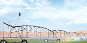 الزراعة الذكية في قلب الصحراء.. مفتاح استدامة الأمن الغذائي في الجزائر