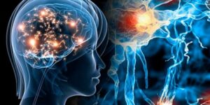 حسب دراسة حديثة.. شبكية العين قد تكشف لنا اضطرابات الدماغ