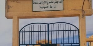 2050 منصبا تكوينيا لفائدة شباب النعامة