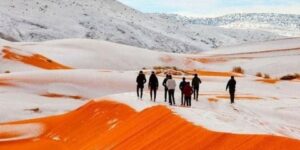 النعامة: تساقط أولى الثلوج لموسم الشتاء