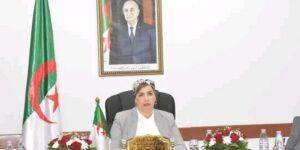 مولوجي تشرف على لقاء عمل لمتابعة برامج الولايات الجنوبية المستحدثة