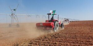 مشروع جزائري-إيطالي لزراعة قصب السكر والحبوب بالمنعية