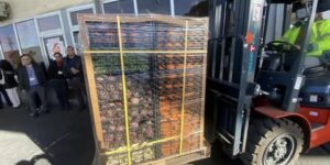 إطلاق أول عملية تصدير بالاستفادة من خصم 50 بالمائة من أعباء النقل الدولي.. الحكومة تدعم التصدير بتسهيلات غير مسبوقة