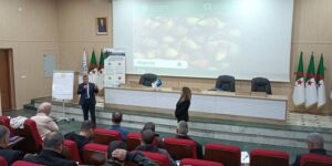 وزارة الفلاحة تشرع في إعداد استراتيجية وطنية لتطوير منتوج التين بالجزائر