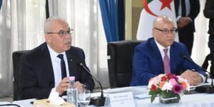 شرفة يطمئن بخصوص مخزون الحبوب الجافة ويكشف عن فتح 600 نقطة بيع مباشرة