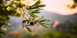 العلم والإيمان.. تَنْبُتُ بِالدُّهْنِ وَصِبْغٍ لِلْآَكِلِينَ