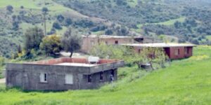 برج بوعريريج.. 2000  إعانة مالية موجهة للبناء الريفي