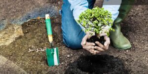 تحقيق تقدم إيجابي منذ إعادة تأهيل وتوسعة السد الأخضر