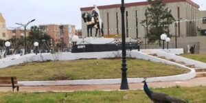 عين تموشنت.. أزيد من 4 مليار دينار لانعاش التنمية