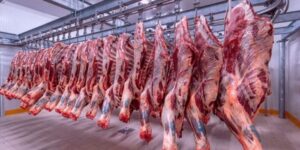 الجزائرية للحوم الحمراء تستقبل شحنة طازجة من إيطاليا بأسعار تنافسية