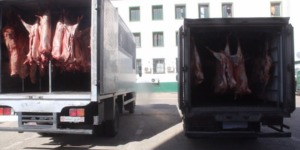 الدرك الوطني بالجلفة يحجز 50 قنطارا من اللحوم الحمراء غير صالحة للاستهلاك