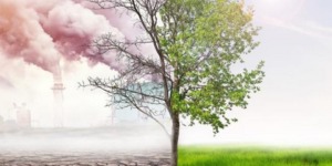 بعيدا عن مشاكل التنفس التي يُحدثها.. التلوث قد يُخفض قوة التركيز