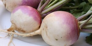 اللفت.. فوائد لا ينتبه لها الكثيرون