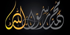 تفضيل النبي صلى الله عليه وسلم على سائر الأنبياء