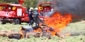 خنشلة.. تنفيذ مناورة لإخماد حريق افتراضي بغابة حمام الصالحين ببلدية الحامة