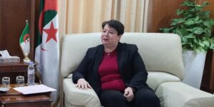 طافر تشارك بجنوب إفريقيا في معرض “مينينغ إندابا”