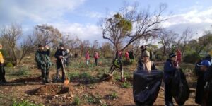 وهران.. حملة لتثمين 6 غابات ذات الاستقطاب السياحي