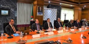 عرقاب يؤكد: الإجراءات المتخذة من قبل “أوبك+” ساهمت بشكل ملموس في تحقيق استقرار سوق النفط العالمي