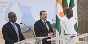 عرقاب: الأنبوب سينقل ما بين 20 إلى 30 مليار متر مكعب من الغاز سنويًا