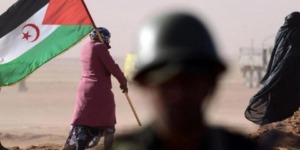 عضو بالحكومة الفرنسية في زيارة استفزازية للصحراء الغربية المحتلة  