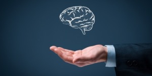 العلم والإيمان.. ما من دابة إلا هو أخذ بناصيتها