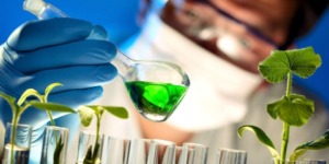 الشفرة الوراثية.. سر الحياة