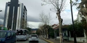  مخطط مروري جديد بمدينة البليدة