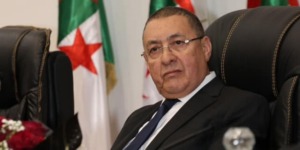 مرّاد يكشف عن تسخير 12 مليار سنتيم لتحسين الخدمة بالمعبر الحدودي الطالب العربي بولاية الوادي