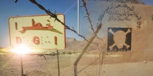 مدير مرصد الأسلحة الفرنسي يؤكد: طلب الجزائر من فرنسا تطهير مواقع التفجيرات النووية “مشروع تمام”