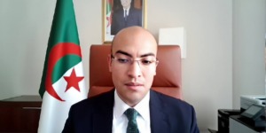 شايب يؤكد على الأهمية التي توليها السلطات لانخراط الجالية بالورشات الاقتصادية في وطنها