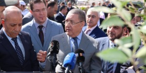 مرّاد يؤكد على أهمية تنفيذ المقاربة الاستباقية لمجابهة حرائق الغابات