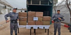 الجمارك تحجز 3 قناطير من الكيف المعالج في تيارت