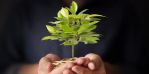 من أحكام زكاة الفطر