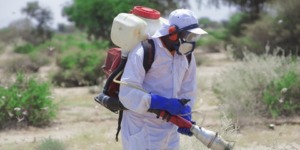  تفعيل نشاط جهاز اليقظة ومراقبة الجراد الصحراوي بخنشلة 