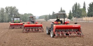 تيسمسيلت.. رهان على تكثيف وإنتاج البذور والبقوليات