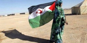 اللجنة السويسرية لدعم الشعب الصحراوي: منتدى حول الصحراء الغربية