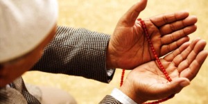 الجنة.. سلعة الله الغالية