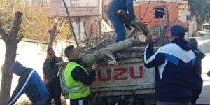 ببلديات الدرارية.. تدخلات للحفاظ على نقاوة المحيط 