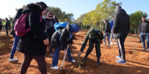 المديرية العامة للغابات تحيي اليوم الدولي للغابات بغرس 25 ألف شتلة وبرامج تعليمية