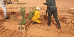 إعادة تأهيل السد الأخضر.. أزيد من 820 مليون دينار لإنجاز الشطر الثالث بتبسة