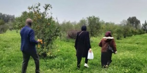 سيدي موسى.. تجديد بساتين الأشجار المثمرة و توجيه الفلاحين لتحسين شعبة الحبوب بالدار البيضاء