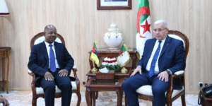 بوغالي يشدد على أهمية التعاون البرلماني والاقتصادي ومكافحة التحديات التي تواجه إفريقيا