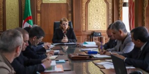 مداحي تدرس حصيلة نشاط الوكالة الوطنية للعقار السياحي وبرنامج عملها المقبل