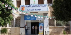 مديرية توزيع الكهرباء والغاز بالوادي: جاهزية تامة لضمان استمرارية الخدمة خلال أيام عيد الفطر المبارك