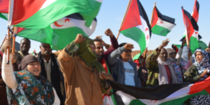 كوديسا تندد بزيارة رئيس مجلس الشيوخ الفرنسي إلى الصحراء الغربية المحتلة