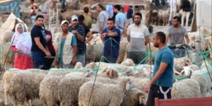 ديوان الإفتاء التونسي يصدر بيانا حول إلغاء شعيرة الأضحية