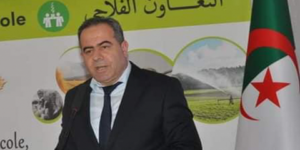 هكذا تمكنت الجزائر من التصدي للجراد بالجنوب بالتنسيق مع ليبيا.. النيجر ومالي