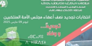 انتخابات التجديد النصفي لمجلس الأمة: السلطة المستقلة تدعو إلى احترام الترتيبات