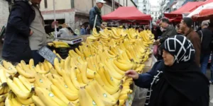 اتحاد التجار والحرفيين يدعو إلى فرض رقابة صارمة على المستوردين ويقترح حلولا لضبط أسعار الموز